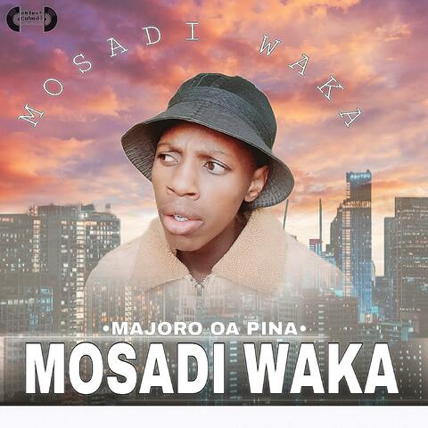 Mosadi Waka