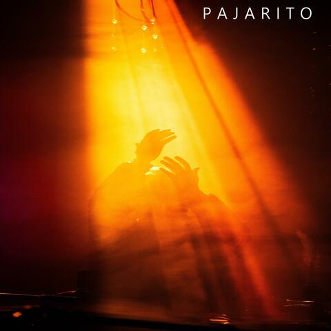 Pajarito