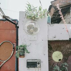 Fan by the Roadside