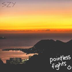 pointless fights
