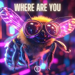 Where Are You