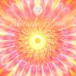 The Spirit of Pink Coneflower - Illuminated by Ethereal Choral