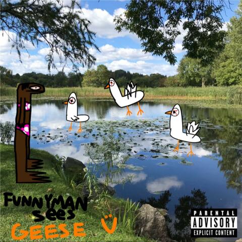 FunnyMan Sees Geese