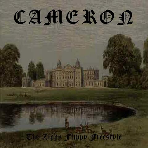 The Zippy Flippy Freestyle