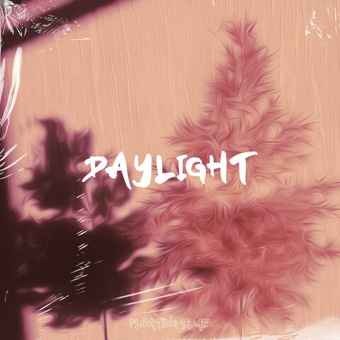 Daylight