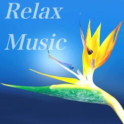 Beautiful Relaxing Atmosphere, Pt. 02