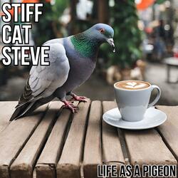 From The Eyes Of A Pigeon