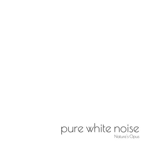 Pure White Noise
