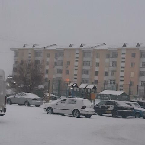that winter was really warm.