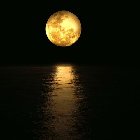 Relaxing Music and Night Nature Sounds