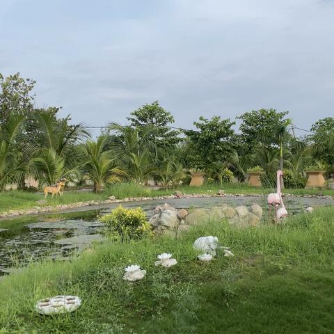 Nature’s Reverie