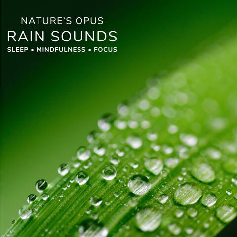 Rain Sounds