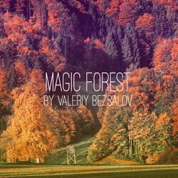 Magic Forest