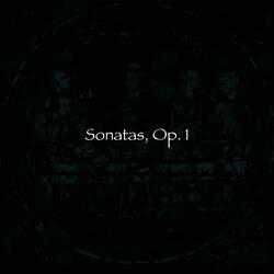 Sonata in E minor, Op. 1, No. 6: 1. Allemande