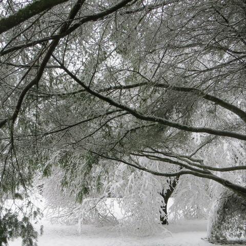 Quiet Spaces
