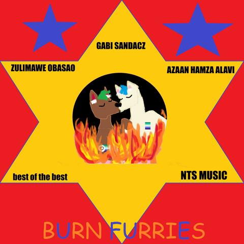 BURN FURRIES (feat. Zulimawe Obasao & Azaan Hamza Alavi)