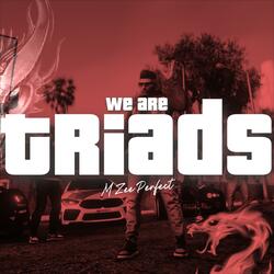TRIADS SONG