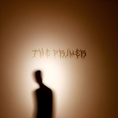 Terminal Lucidity