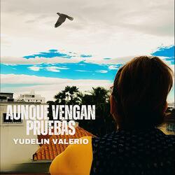 Aunque Vengan Pruebas