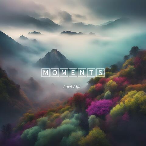 Moments