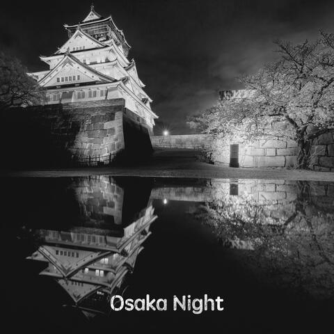 Osaka Night