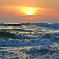 Ocean Thrills