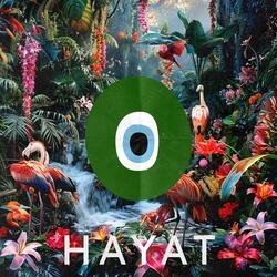 Hayat