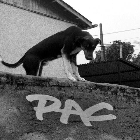 P.A.C