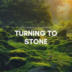 Turning to Stone