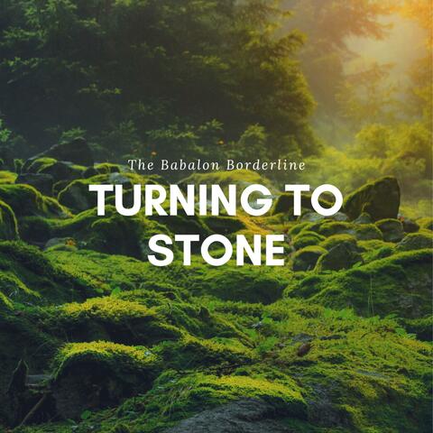 Turning to Stone