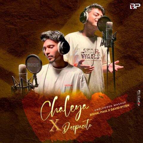 Chaleya / Despacito