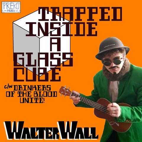 Trapped Inside A Glass Cube