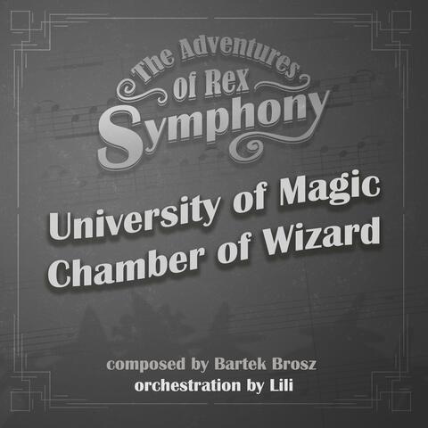 University of Magic / Chamber of Wizard