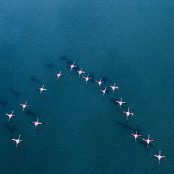 Thanks for Everything