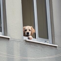 Partyraum für Alle?