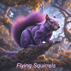 Flying Squirrels