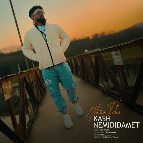 Kash Nemididamet