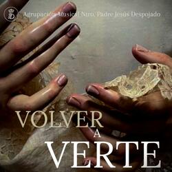 Volver a Verte