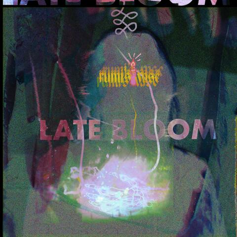 Late Bloom