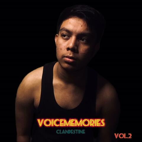 Voicememories Clandestine, Vol. 2
