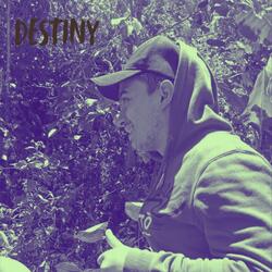 Destiny