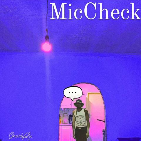 MicCheck