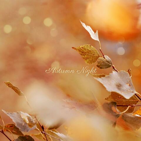 Autumn Night