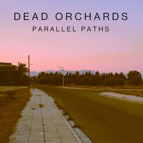 Parallel Paths