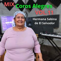 Mix Coros Alegres Vol.11