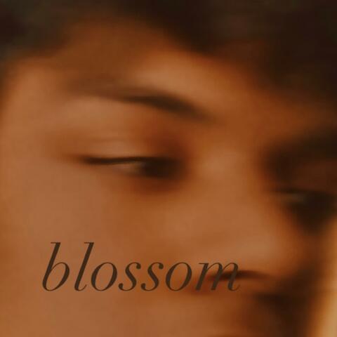 Blossom