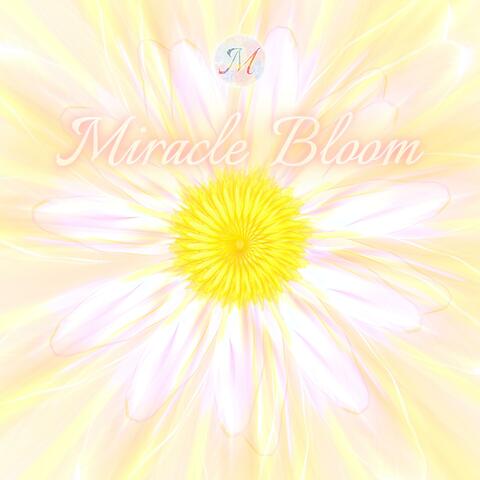 The Renaissance of Cotton Daisy - New Horizons