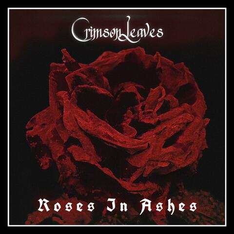 Roses in Ashes