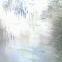 XIX - _jardin_cuantico_