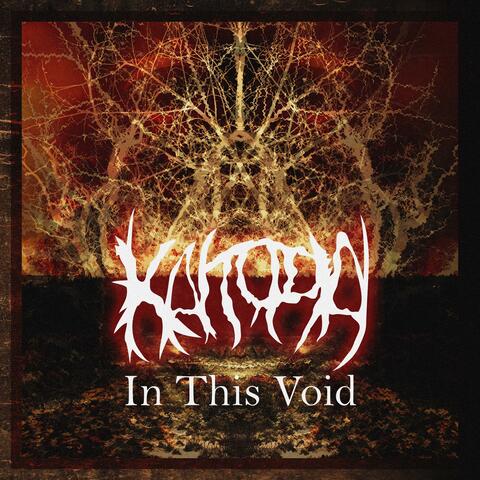 In This Void